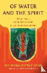 Some, Malidoma - Of Water and the Spirit