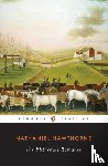 Hawthorne, Nathaniel - The Blithedale Romance