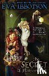 Ibbotson, Eva - Ibbotson, E: Secret of Platform 13