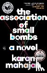 Karan Mahajan - The Association of Small Bombs