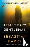 Barry, Sebastian - The Temporary Gentleman: The Temporary Gentleman: A Novel