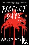 Raphael Montes - Perfect Days