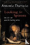 Damasio Antonio Damasio - Looking for Spinoza