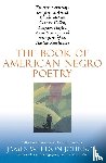  - THE BOOK OF AMERICAN NEGRO POETRY