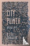 Schragger, Richard (Professor of Law - City Power