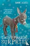 Booth, Anne ( - Lucy's Magical Surprise