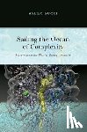 Succi, Sauro (Senior Research Executive and Principal Investigator - Sailing the Ocean of Complexity