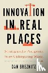 Breznitz, Dan (Chair of Innovation Studies - Innovation in Real Places