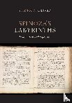Melamed, Yitzhak Y. (Charlotte Bloomberg Professor of Philosophy - Spinoza's Labyrinths