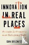 Breznitz, Dan (Chair of Innovation Studies - Innovation in Real Places