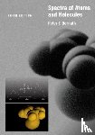 Bernath, Peter F. (Professor - Spectra of Atoms and Molecules