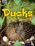 Lane, Alex - Project X Origins: Pink Book Band, Oxford Level 1+: My Family: Ducks