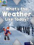 Llewellyn, Claire - Project X Origins: Yellow Book Band, Oxford Level 3: Weather: What's the Weather Like today?