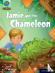 Sloan, Carolyn - Project X Origins: Turquoise Book Band, Oxford Level 7: Hide and Seek: Jamie and the Chameleon