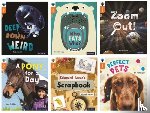 Alcraft, Rob, McDougall, Jill, Hubbard, Ben, Crebbin, June - Oxford Reading Tree inFact: Level 6: Mixed Pack of 6