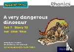 Munton, Gill - Read Write Inc. Phonics: A Very Dangerous Dinosaur (Grey Set 7 Storybook 12)