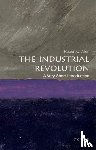 Allen, Robert C. (Global Distinguished Professor of Economic History - The Industrial Revolution