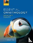 Scott, Graham (Director - Essential Ornithology