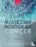 Pecorino, Lauren (Professor - Molecular Biology of Cancer