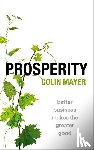 Mayer, Colin (Peter Moores Professor of Management Studies - Prosperity