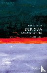 Glendinning, Simon (London School of Economics and Political Science) - Derrida