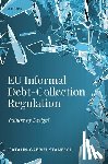Stanescu, Catalin-Gabriel (Associate Professor in Private Law - EU Informal Debt-Collection Regulation