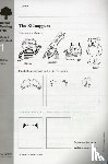 Page, Thelma - Oxford Reading Tree: Level 8: Workbooks: Workbook 1: The Kidnappers and Viking Adventures (Pack of 6)