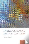 Chetail, Vincent (Professor of International Law - International Migration Law