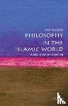 Adamson, Peter (Professor of Late Ancient and Arabic Philosophy at the Ludwig Maximilian University of Munich) - Philosophy in the Islamic World