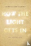 Schneider, Pat - How the Light Gets In