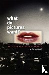 Mitchell, W. J. T. - What Do Pictures Want?
