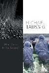 Taussig, Michael - What Color Is the Sacred?