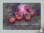 Voight, Janet - From the Seashore to the Seafloor