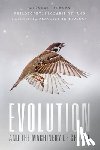 Abrams, Marshall - Evolution and the Machinery of Chance