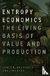 Galbraith, James K., Chen, Jing - Entropy Economics
