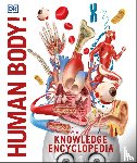 DK - Knowledge Encyclopedia Human Body!