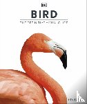 DK - Bird