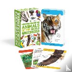 DK - Our World in Pictures Animals of the World Flash Cards
