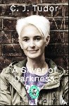 Tudor, C. J. - A Sliver of Darkness