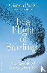 Parisi, Giorgio - In a Flight of Starlings
