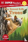 DK - DK Super Readers Level 2 The Secret Life of Trees
