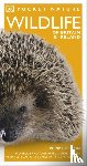 DK - Pocket Nature Wildlife of Britain and Ireland