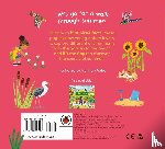 Ladybird, Cobden, Rose - A Walk in Summer