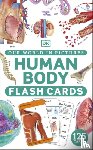 DK - Our World in Pictures Human Body Flash Cards
