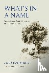 Dahamshe, Amer - What's in a Name
