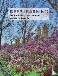Goodfellow, Ian (Senior Research Scientist, Bengio, Yoshua (Full Professor, Courville, Aaron (Assistant Professor - Deep Learning