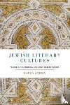 Stern, David (Starr Professorship in Classical and Modern Hebrew Literature - Jewish Literary Cultures