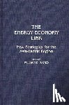  - The Energy-Economy Link