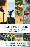  - Creation in Crisis