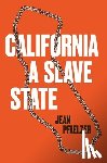 Pfaelzer, Jean - California, a Slave State